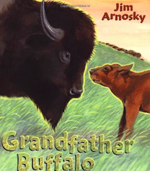Grandfather Buffalo