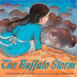 The Buffalo Storm