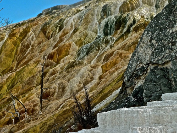 Thermophiles Tapestry at Yellowstone