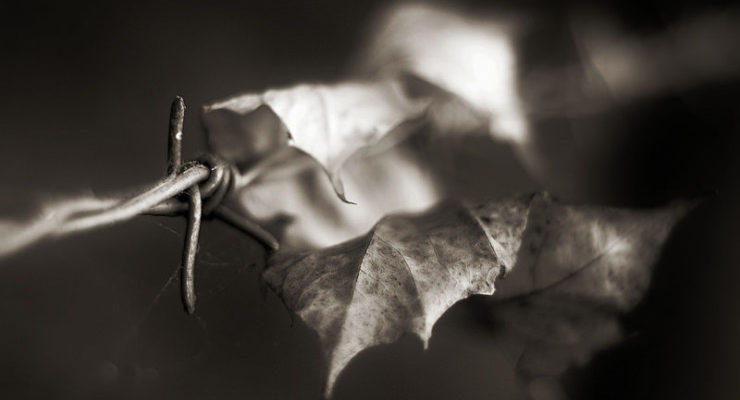 Poets and Poems: Darren Demaree and “Two Towns Over”
