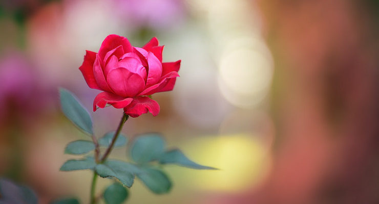 Commit Poetry: Romeo and Juliet