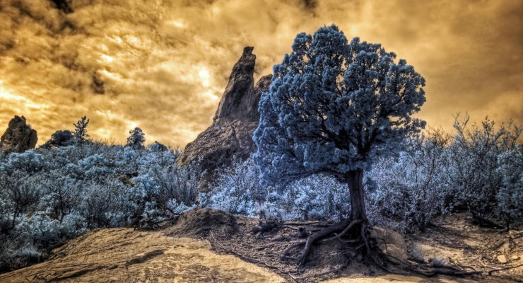 Poetry Prompt: Science Fiction with Tony Wolk
