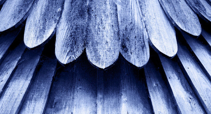 Poets and Poems: Susan Lewis and “Zoom”