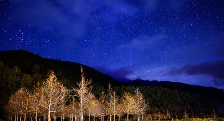 Poets and Poems: Sofia Starnes and “The Consequence of Moonlight”