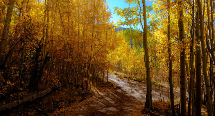 Poetry Prompt: October, Fall, and Foliage “As In” Poems