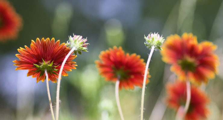 Introvert Paradise: A Scheduled Meeting to Read Sacredly