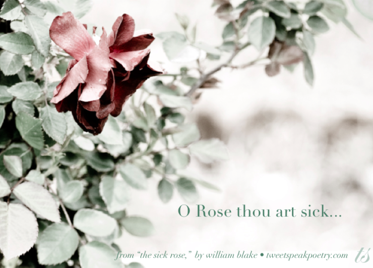 "The Sick Rose," by William Blake