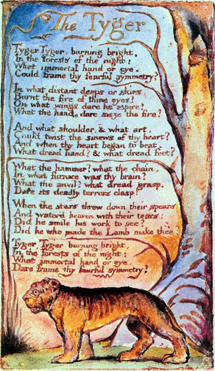 william blake the lamb and the tyger compare and contrast