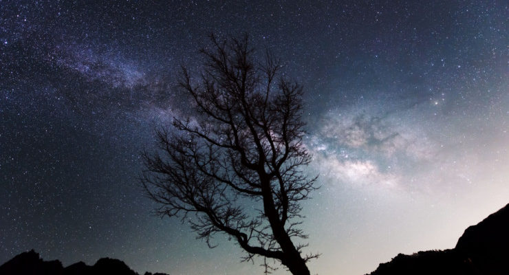 Halloween Poetry Prompt: Never Too Old For …