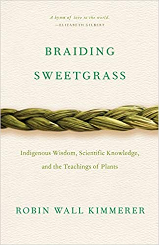 Braiding Sweetgrass cover