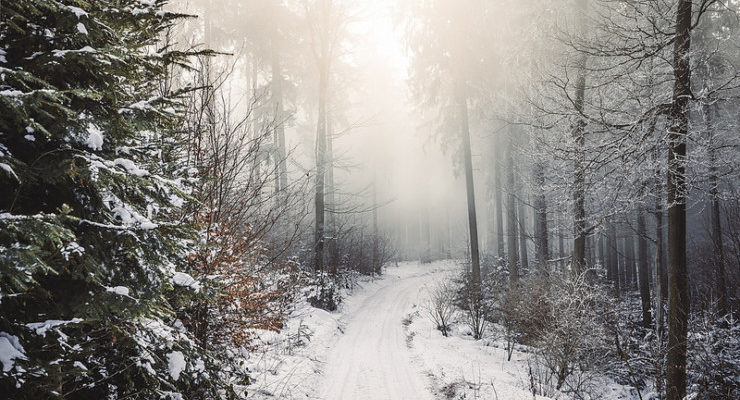 Snowy woods A Child's Christmas in Wales Dylan Thomas