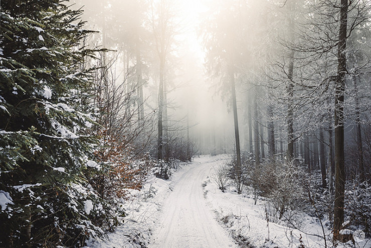 Snowy woods A Child's Christmas in Wales Dylan Thomas