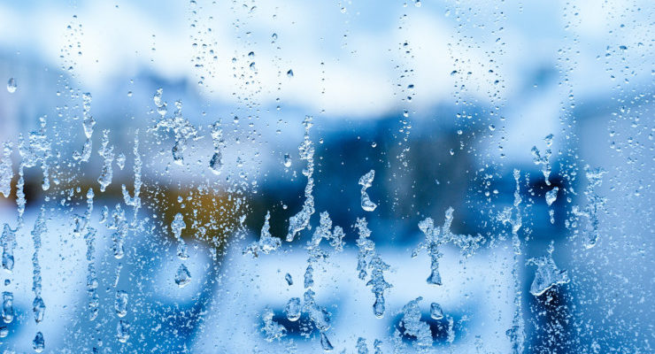 At Home with Books Texas Little House snow on window