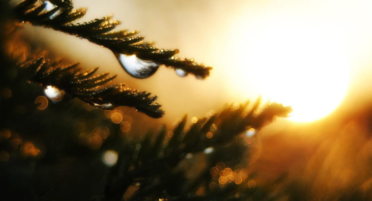 Water drops sunrise Michael Glaser