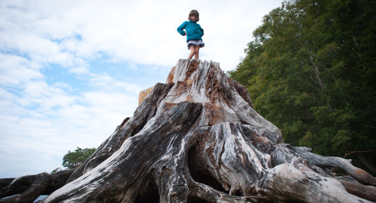 Friendship Project girl on giant tree roots