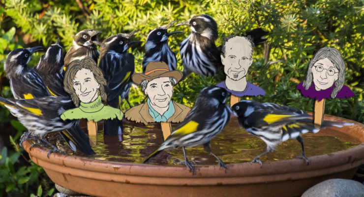 Take Your Poet to Work Day Bird Bath