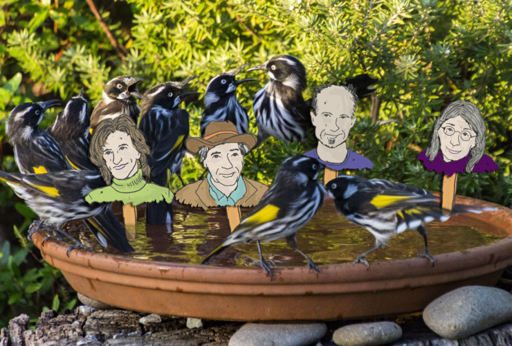 Take Your Poet to Work Day Bird Bath