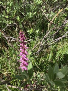 Rocky Mountain National Park