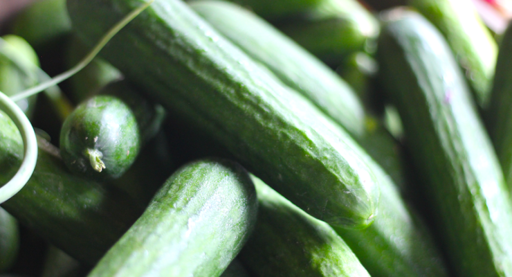 Farmacology farmers market cucumbers