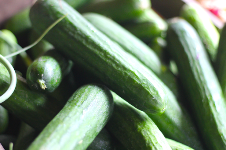 Farmacology farmers market cucumbers