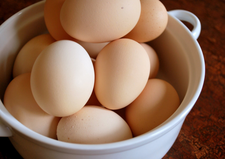 Farmacology free range eggs