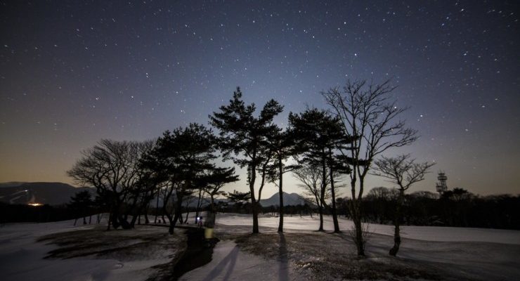 Starry winter night