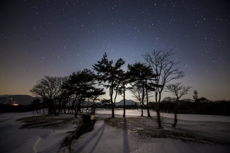 Starry winter night