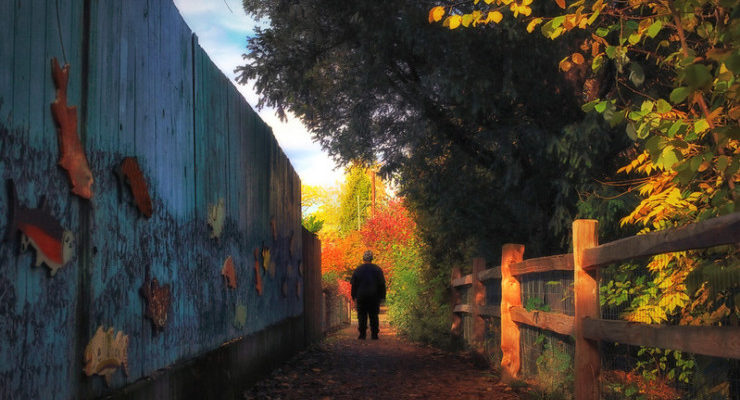 Path in autumn leaves