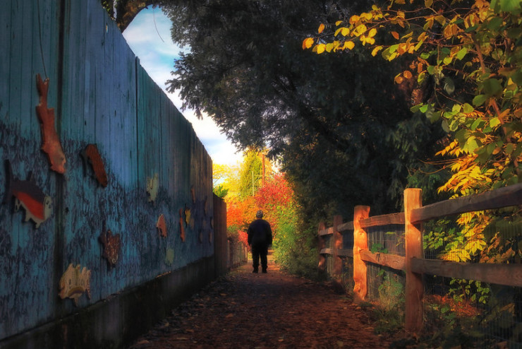 Path in autumn leaves