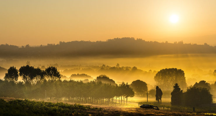 Poet Laura sunrise