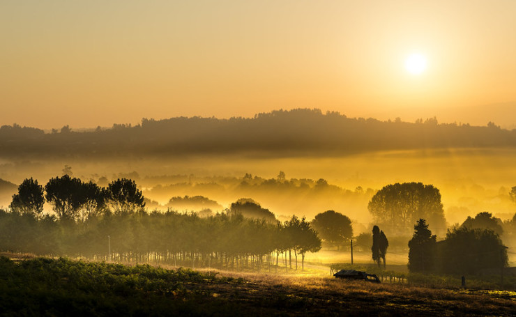 Poet Laura sunrise