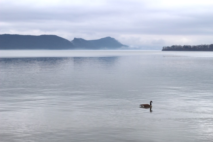 Hudson River in Fog