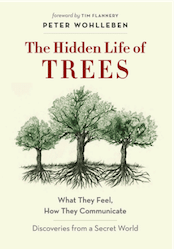 The Hidden Life of Trees by Peter Wohlleben