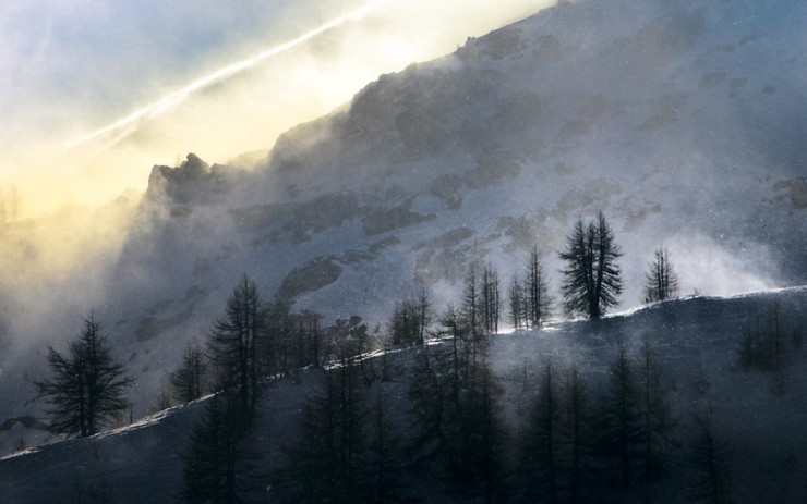 Snowfall and pines on mountain