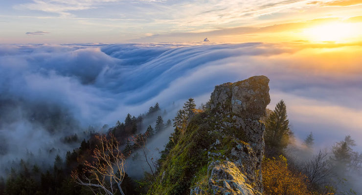 Literary Citizen Transformed Mountaintop