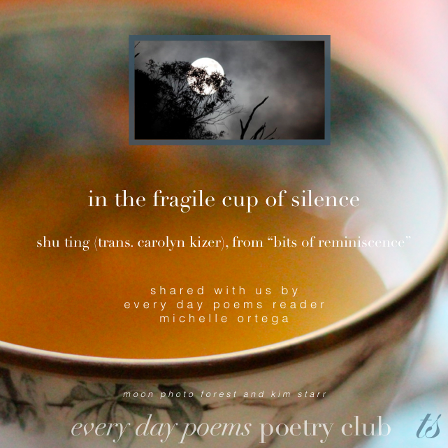 fragile cup of silence poem