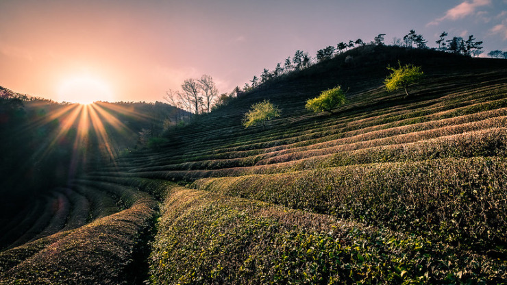 Heart & Soil News from the Underground