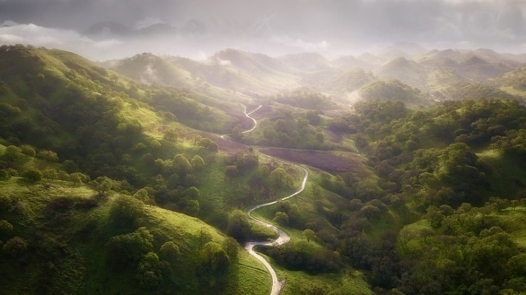 Rolling green hills with winding road for Reindeer Chronicles book club