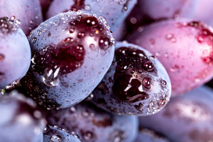 Water Droplets on grapes, a yummy treat for chickens as they listen to shakespeare