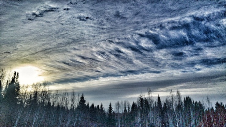 Winter sunrise over bare trees for Reindeer Chronicles book club