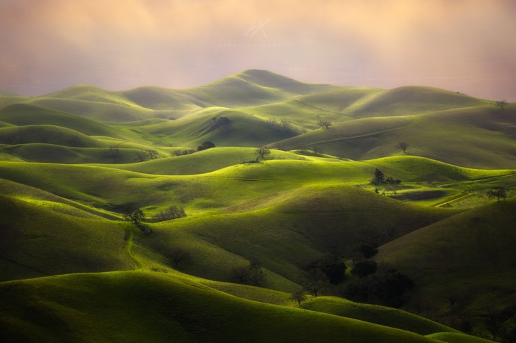 series of green dunes