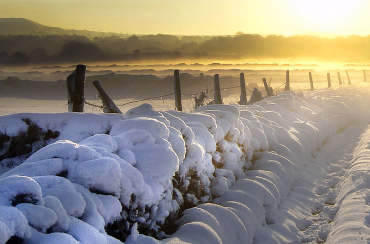 Snowy scene 