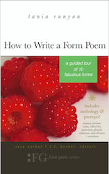 How to Write a Form Poem-A Guided Tour of 10 Fabulous Forms-poetry writing book