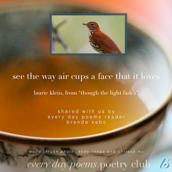 wood thrush poem