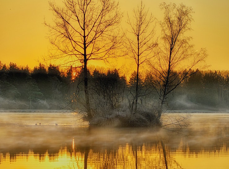 Bavaria Germany Trees and Water-Calliope Muse Poem