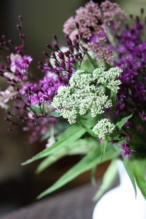 Purple flowers at the Beekeeper Inn