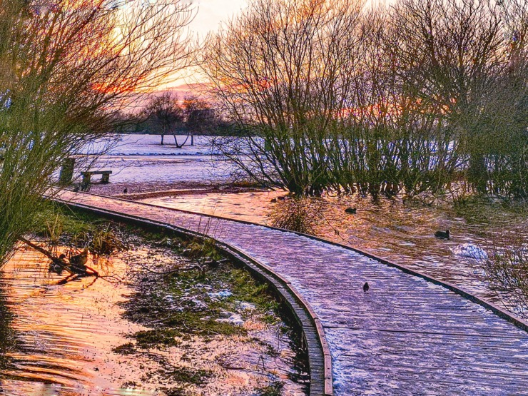 Chase Water, Cannock, England path to writing life