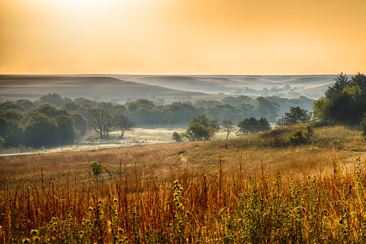 roadside landscape replenishing the imagination