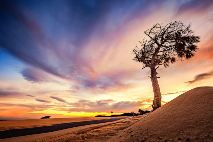 Paloma beach at sunset