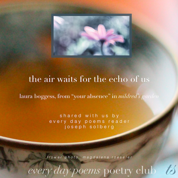 air waits for the echo of us-"your absence" poem from mildred's garden